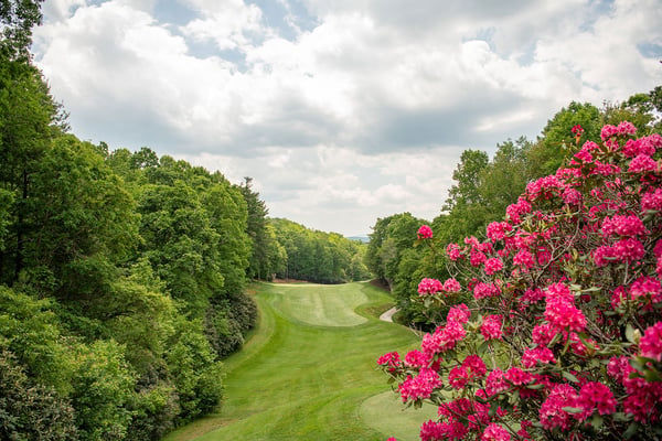 Champion Hills Hole 10